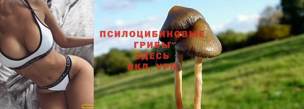 герыч Алексин