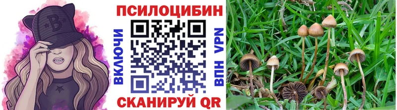 сколько стоит  Себеж  Псилоцибиновые грибы ЛСД 