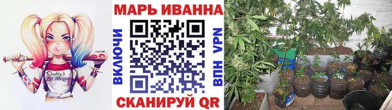 Бошки марихуана конопля  Себеж 
